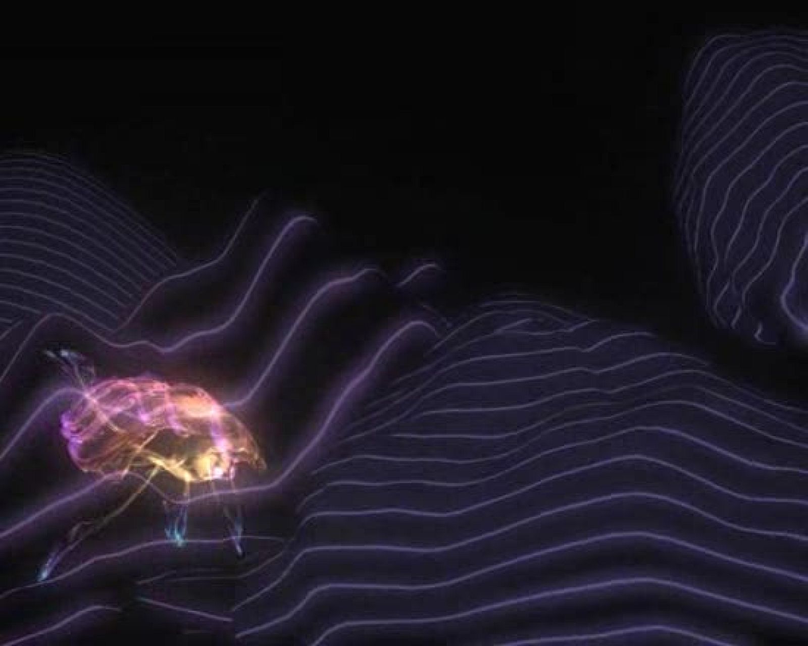 Ráfaga 59 - Sin título | Ver