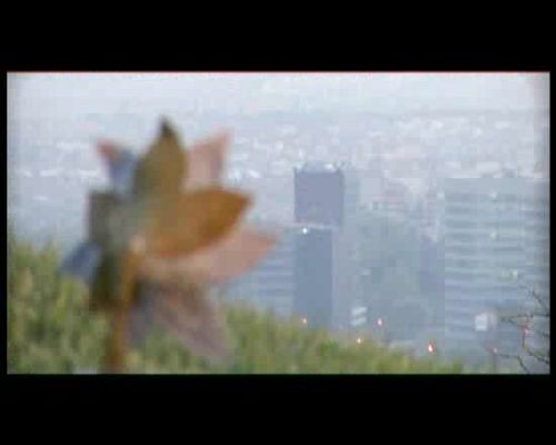 Miradas 2 - Ráfaga 659 - Evolución artificial