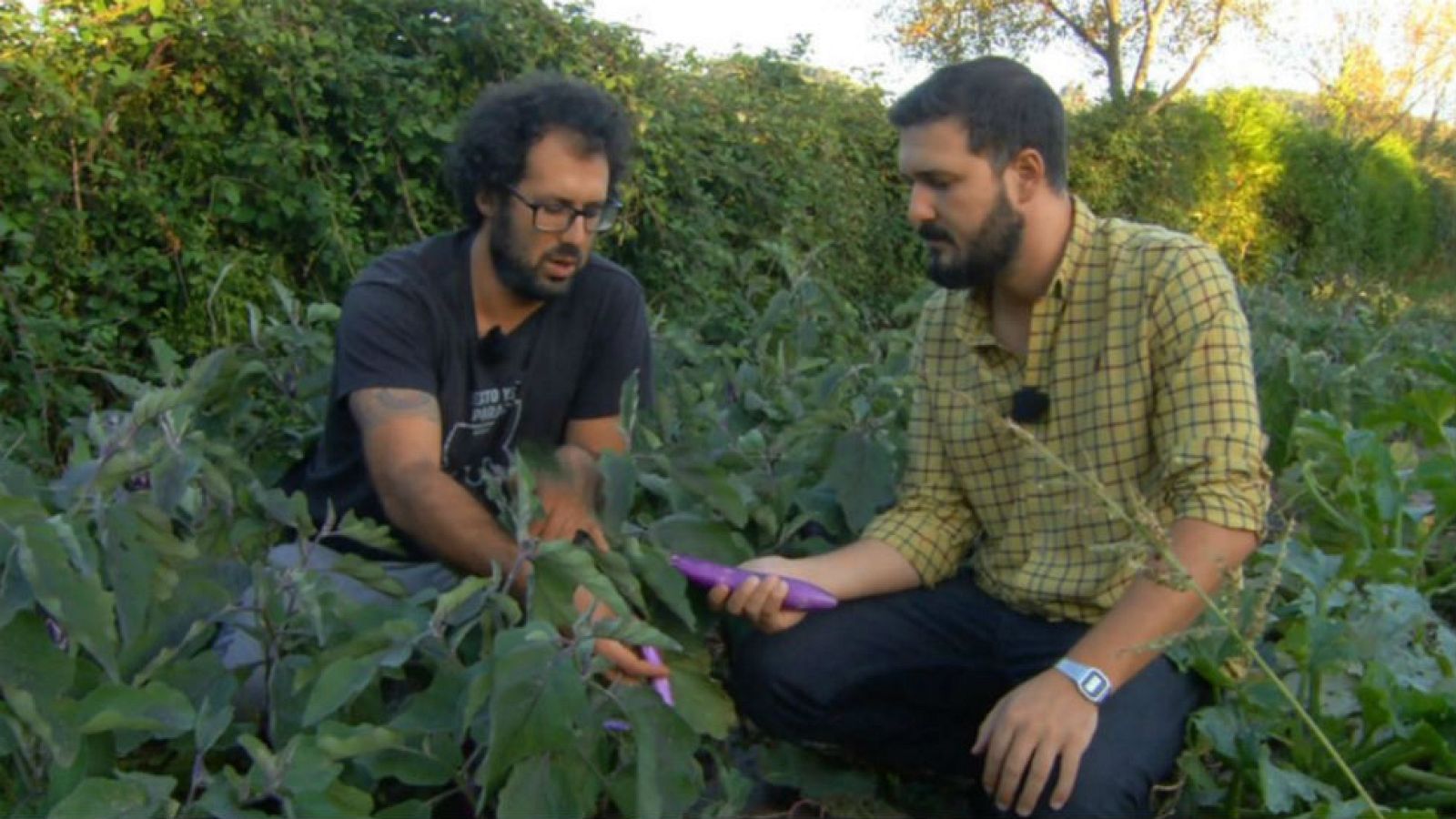 ¡Qué ricos los productos de la huerta asturiana!
