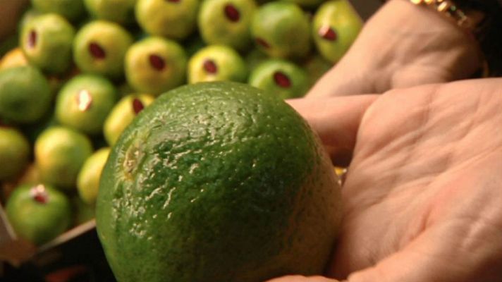 Aquí la Tierra - Bienvenido, colorido otoño