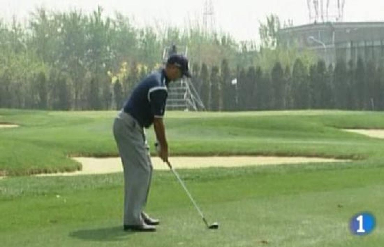 Un 'albatros' de oído | Ver