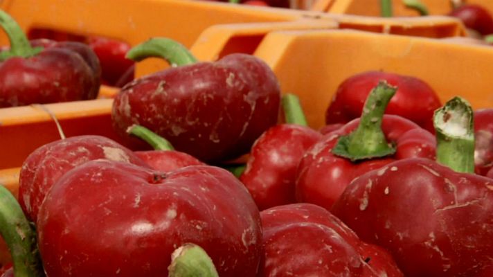 Aquí la Tierra - Un tesoro llamado ñora