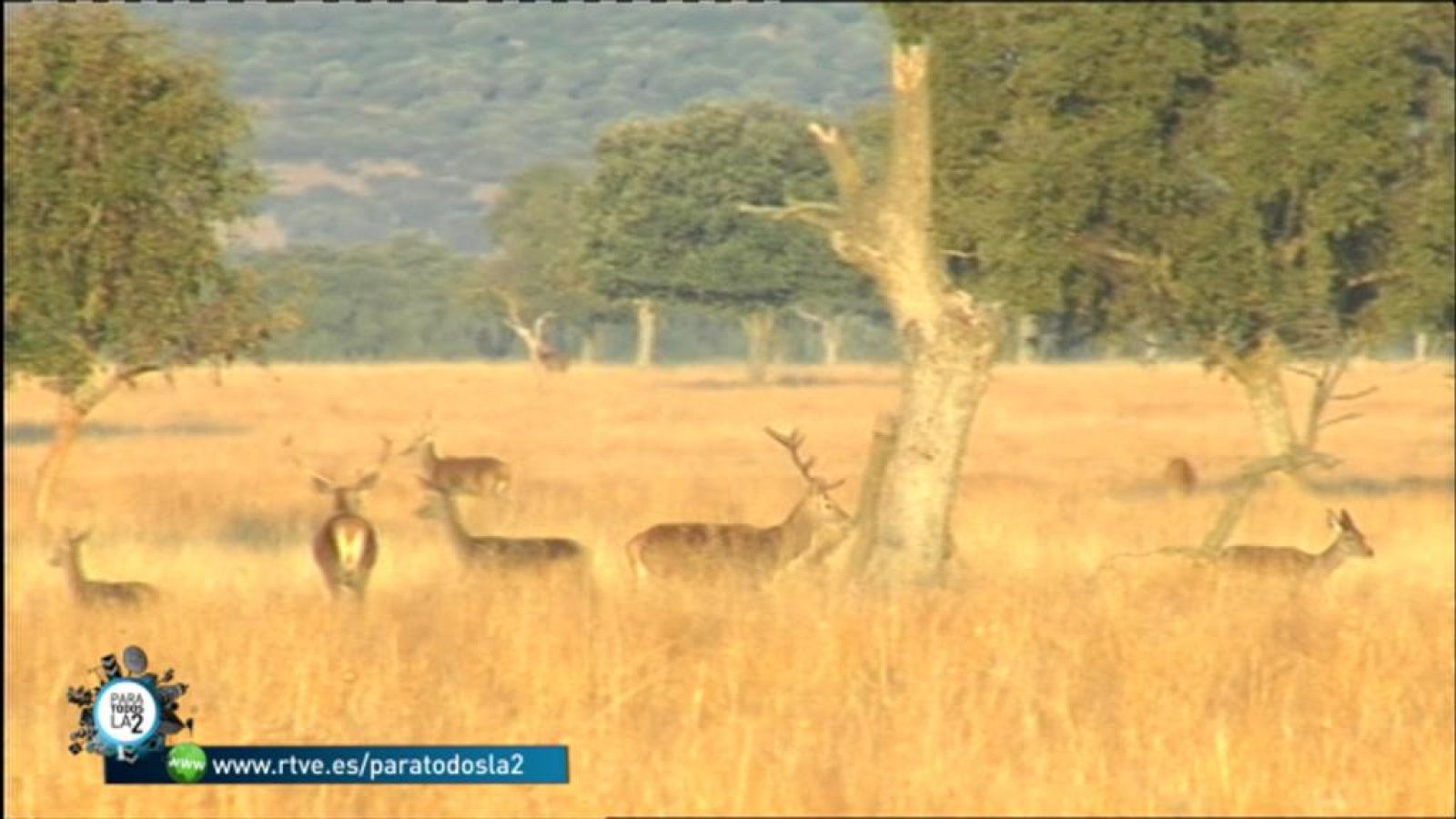 Para todos La 2 - Medio Ambiente - El Parque Nacional de Cabañeros