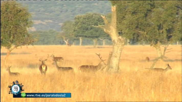 Para todos La 2 - Medio Ambiente - El Parque Nacional de Cabañeros