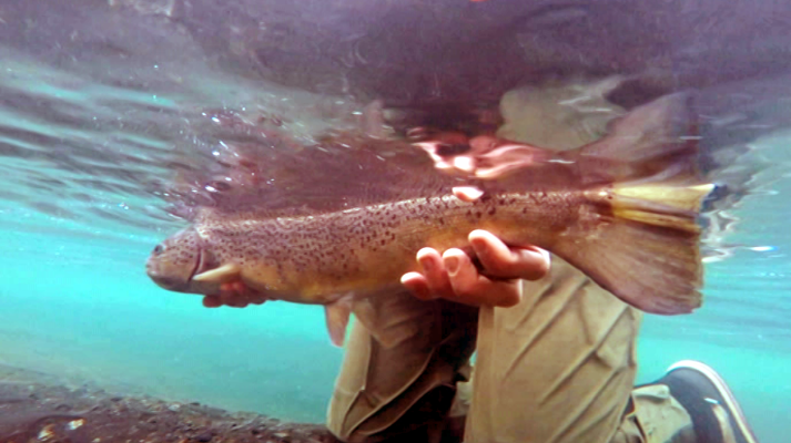 Otros documentales - Pesca imposible 2: Islandia