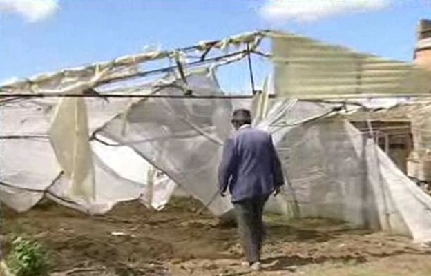  - Daños por el granizo