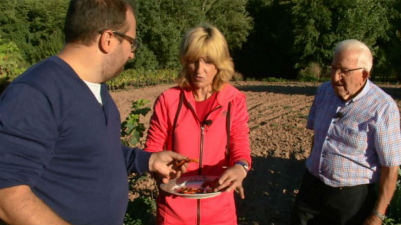 De tomate primoroso, orejón maravilloso