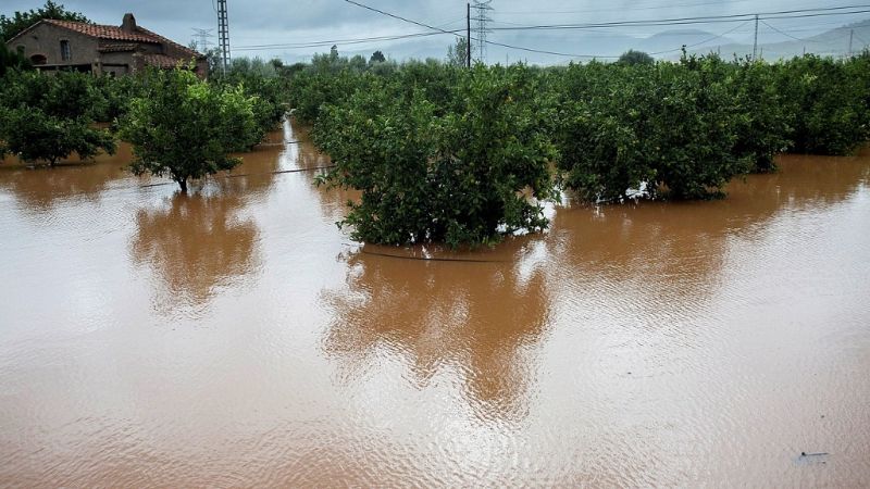 L'Informatiu - Comunitat Valenciana 2 - 22/10/18 - ver ahora