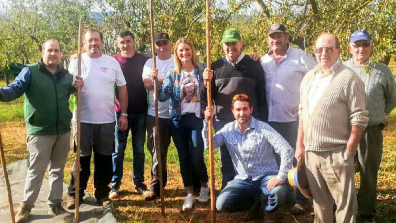 Recogida de almendras exprés