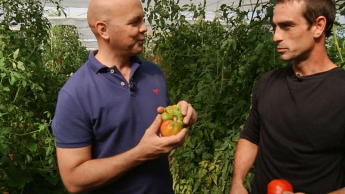 Aquí la Tierra - Tomates feos, de colores y de Tudela