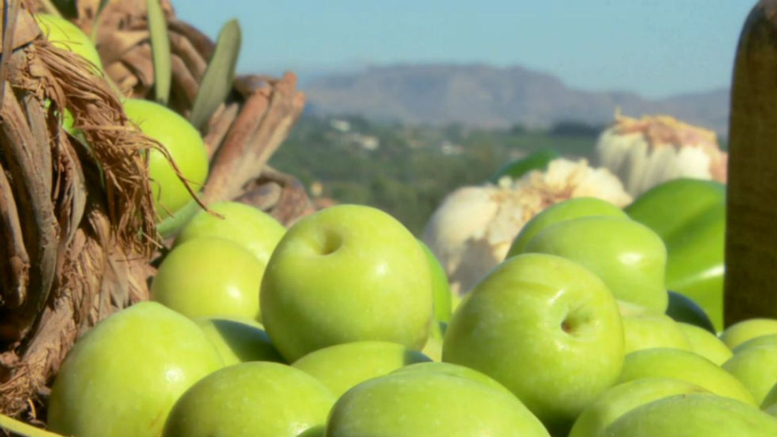 La reina de las aceitunas