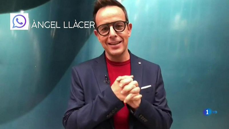 Chat OT 2018 - ngel Llcer aparece en el sexto chat de 'OT 2018'