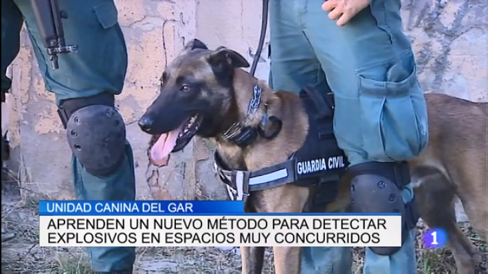 Informativo Telerioja - Informativo Telerioja 2 - 25/10/18