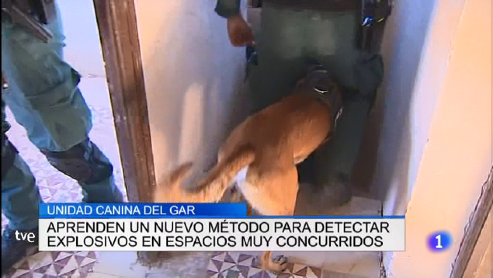 Telerioja en 2' - 25/10/18