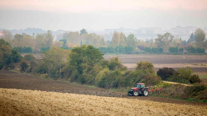 El tiempo - Descenso térmico en casi todo país y lluvias en Canarias y Andalucía