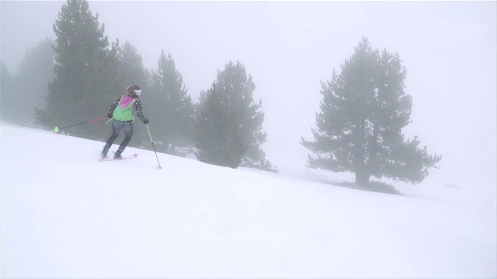 Evasión - T6 - Programa 19 - ver ahora