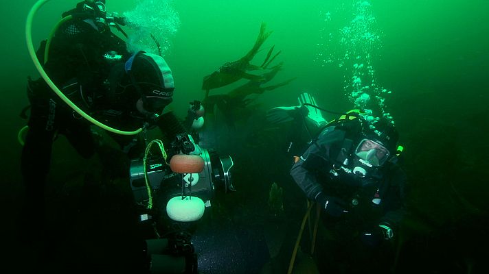 Hundidos - RMS Solway