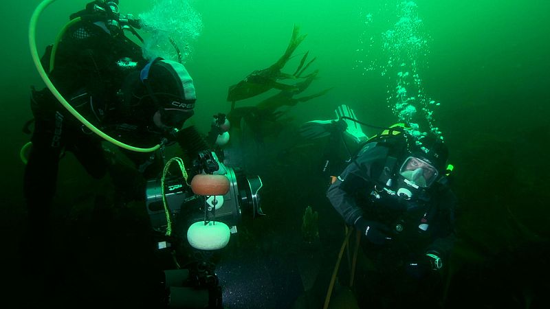 Hundidos - RMS Solway - ver ahora