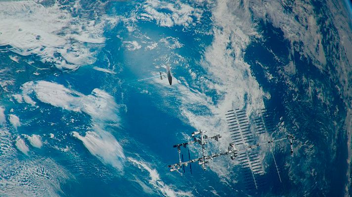 Documenta2 - Universo vivo: Segundo Génesis