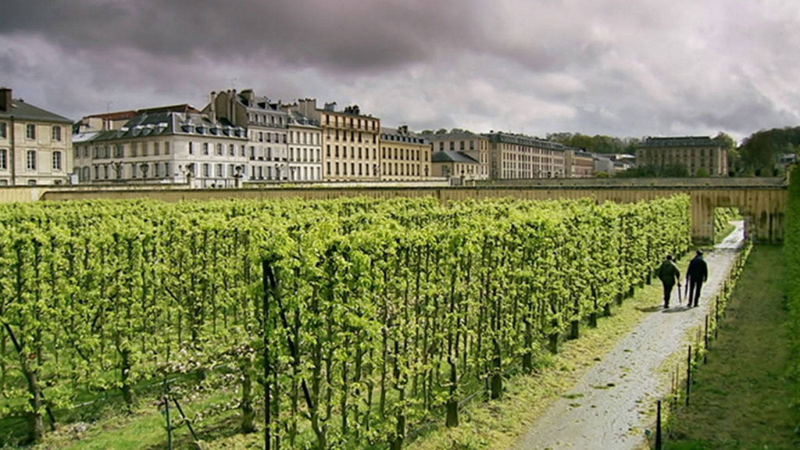 Otros documentales - Los jardines franceses de Monty Don: El huerto gourmet - ver ahora