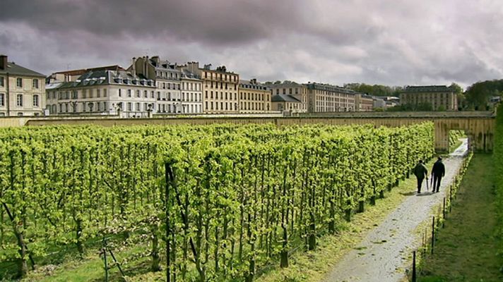 Otros documentales - Los jardines franceses de Monty Don: El huerto gourmet