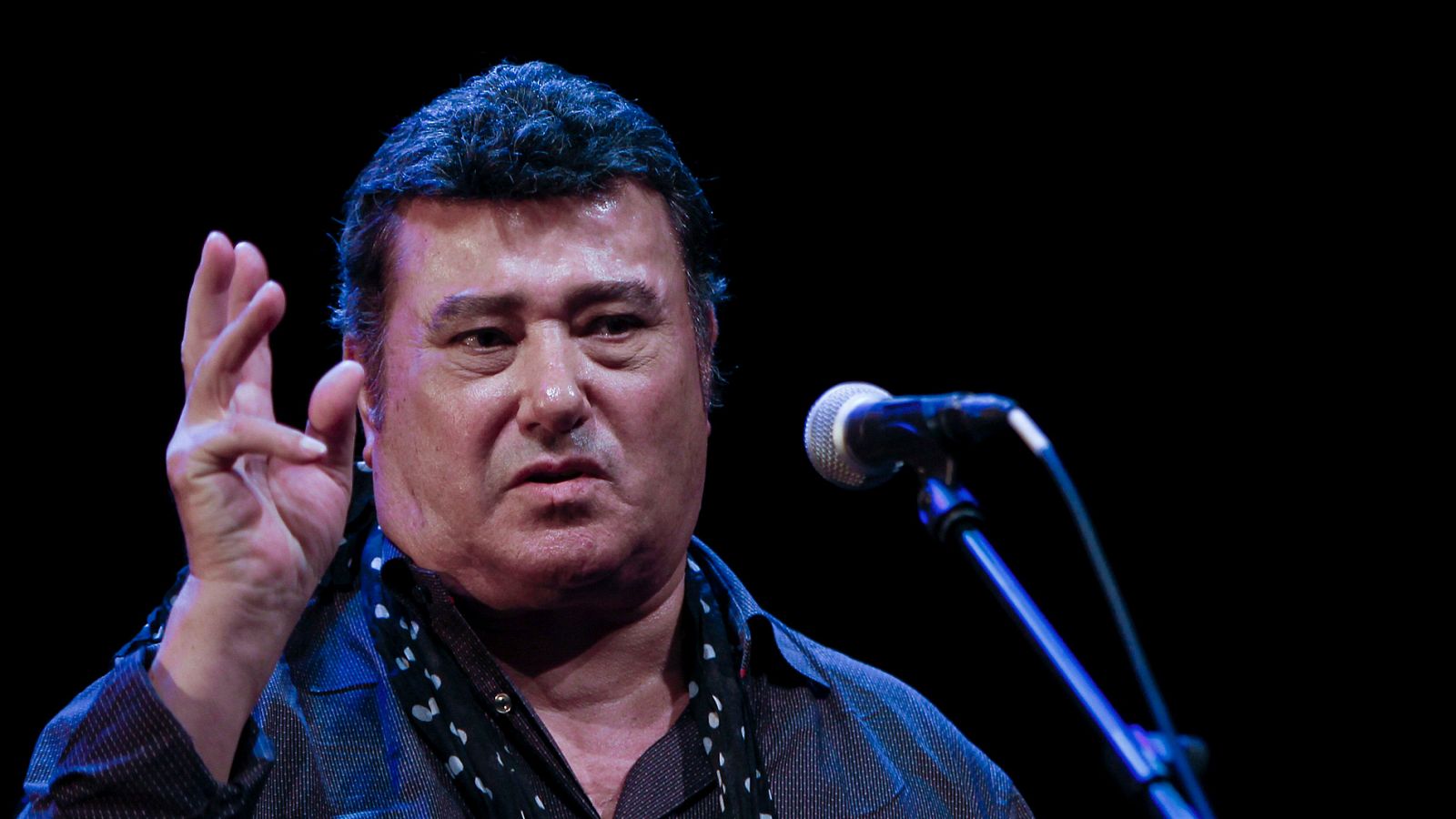 El mundo del flamenco rinde homenaje a José Menese en el Auditorio Nacional