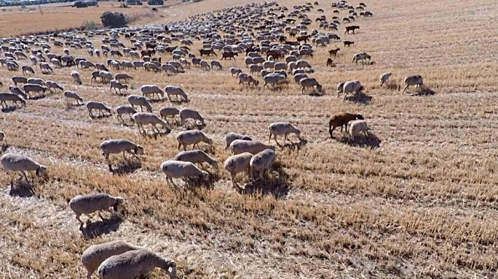 Aquí la Tierra - Aquí la Tierra - 30/10/18