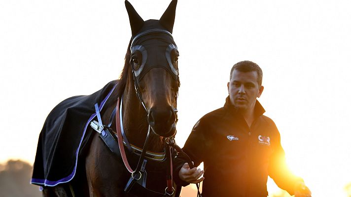 Telediario 1 - Winx, la sensación del deporte australiano