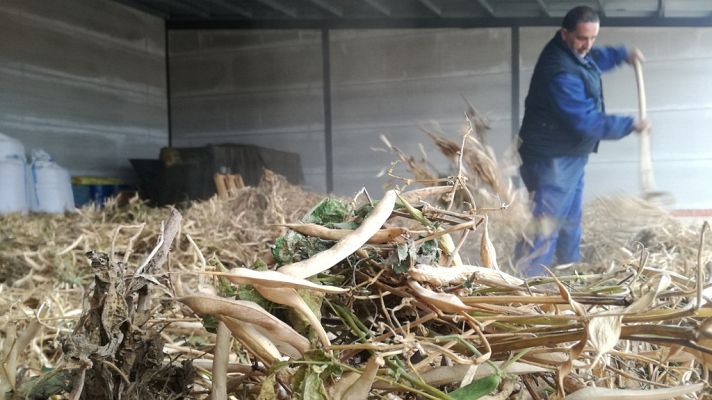 Aquí la Tierra - Aquí la Tierra - 31/10/18