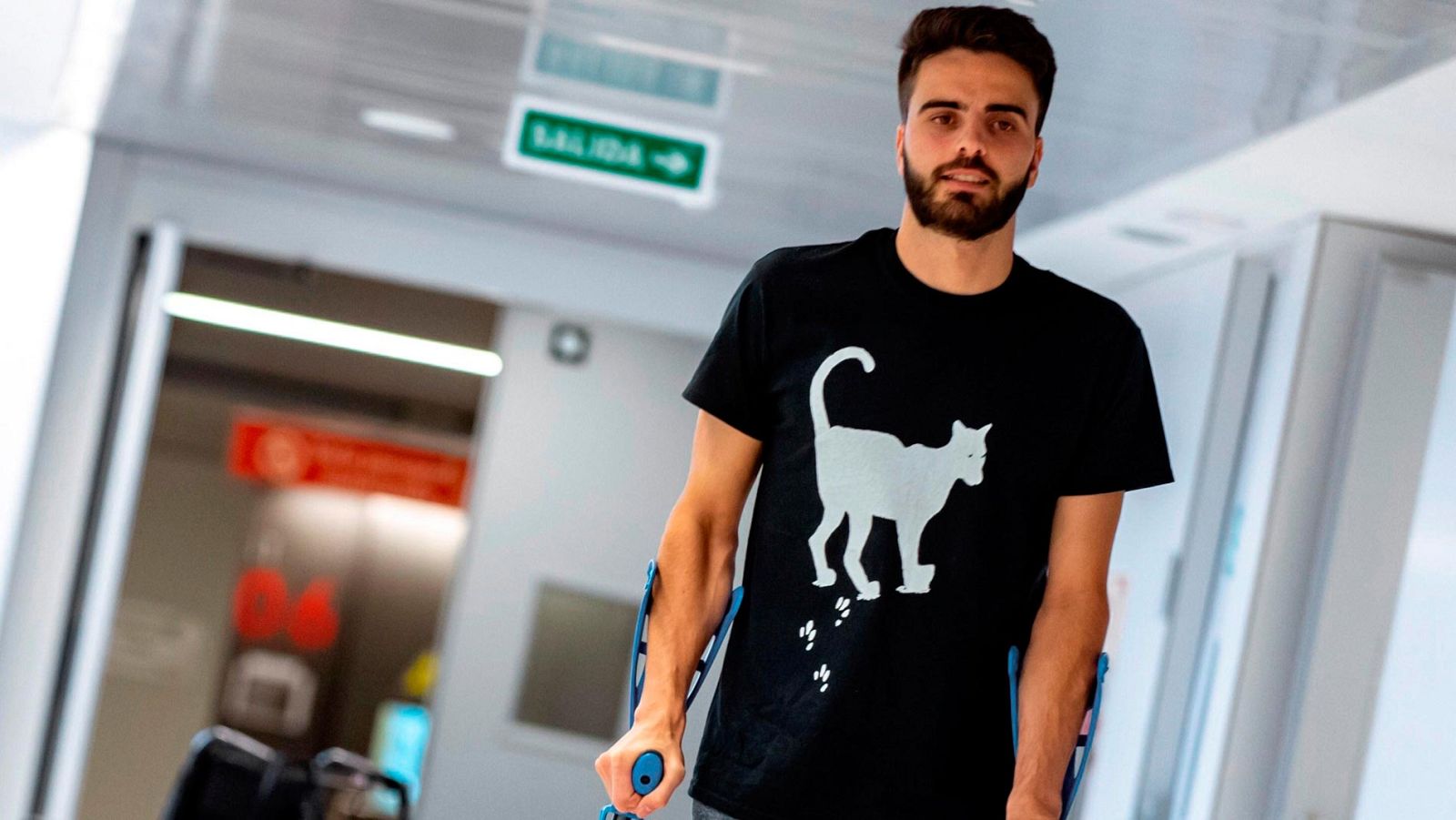 La nueva vida de Pelayo Novo | Ver