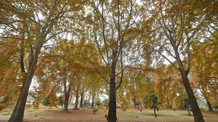 El tiempo - Nubes en el norte del país y lluvia localmente fuerte en Baleares para mañana
