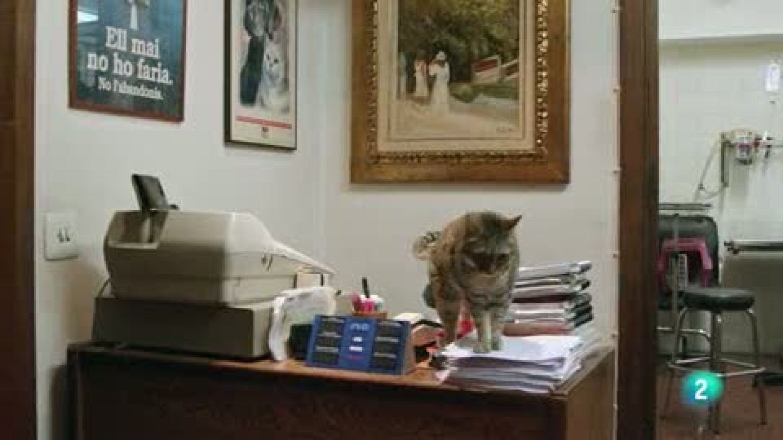 La meva mascota i jo - La clínica veterinària de l'Emília