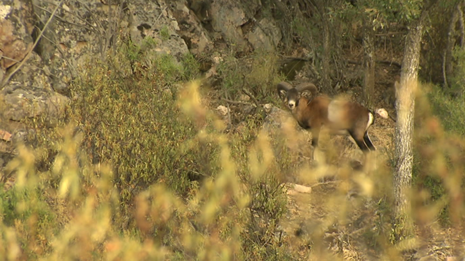 Jara y sedal - Nueva temporada, nuevas historias - ver ahora