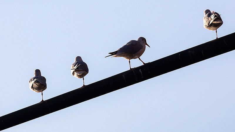 Predominio del tiempo estable y cielos poco nubosos o con intervalos