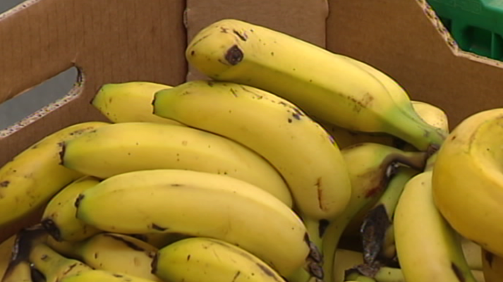 Agrosfera - Agrosfera - 03/11/18