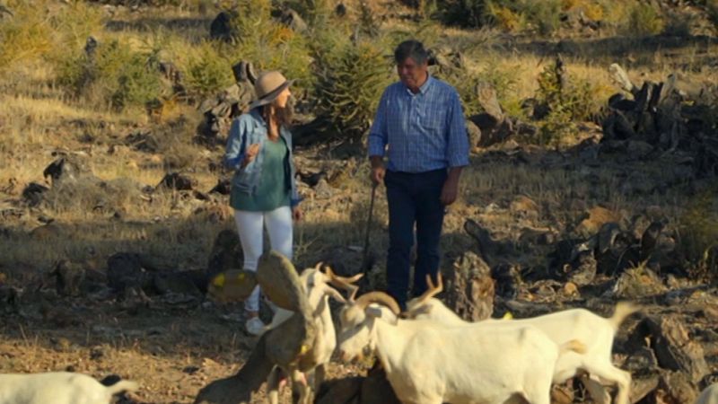 Las rutas de Verónica - Almería: Cabo de Gata