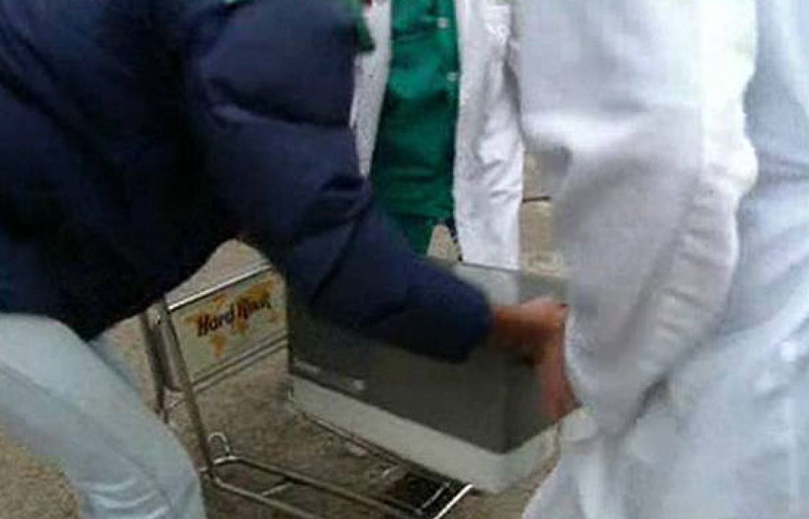 Investigan un anuncio de venta de un riñón por 100.000 euros - Ciencia y tecnología en Rtve.es | Ver