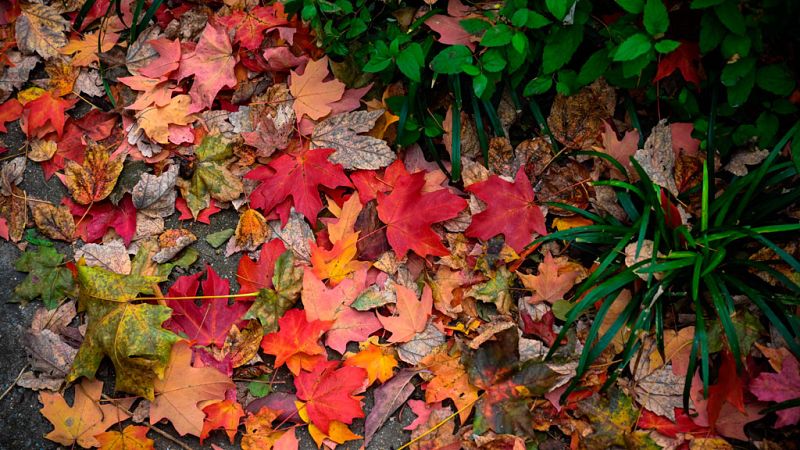 Las temperaturas sufrirán un descenso generalizado