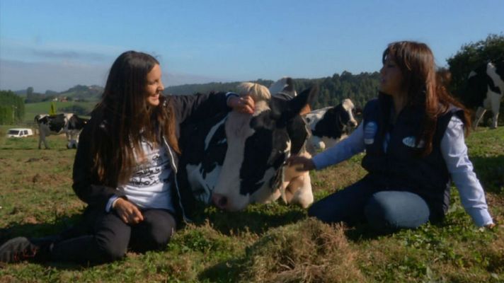 Aquí la Tierra - ¡Tengo una vaca lechera!