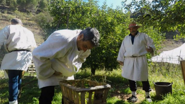 Aquí la Tierra - Una fruta de altura