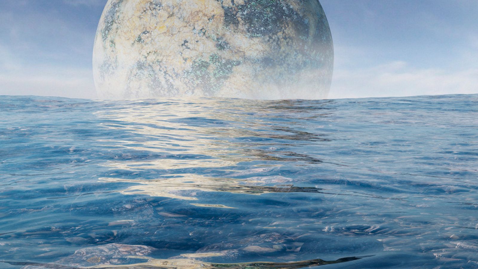 Documenta2 - Universo vivo: Contacto - ver ahora