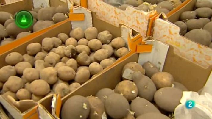 Agrosfera - Polilla Papa