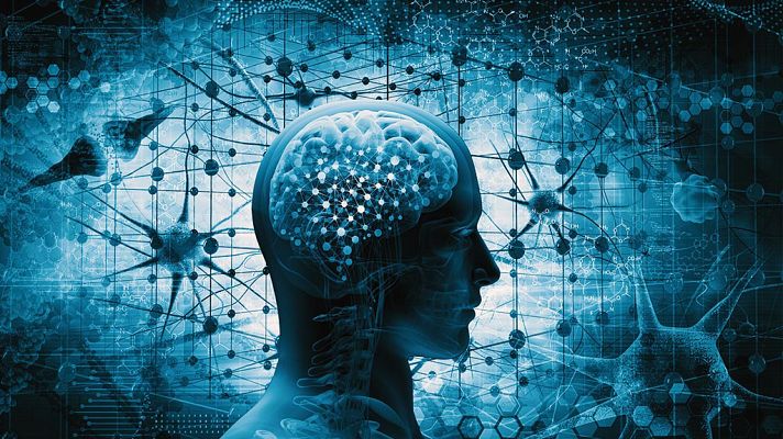 Documenta2 - El cerebro con David Eagleman: ¿Qué es la realidad?