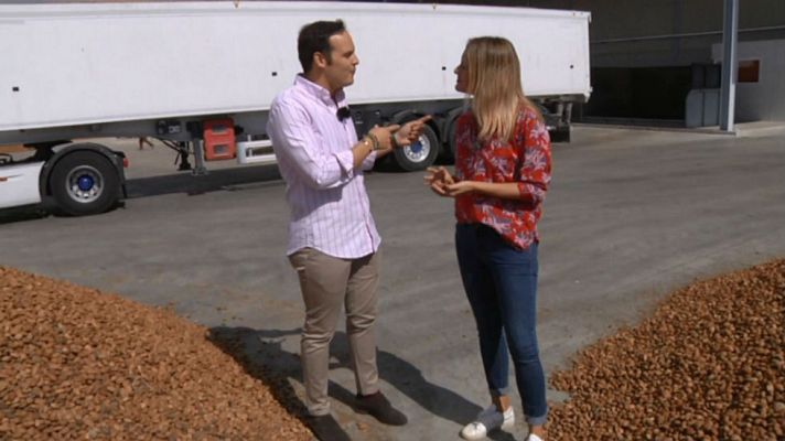 Aquí la Tierra - La almendra Marcona, ¡algo muy nuestro!