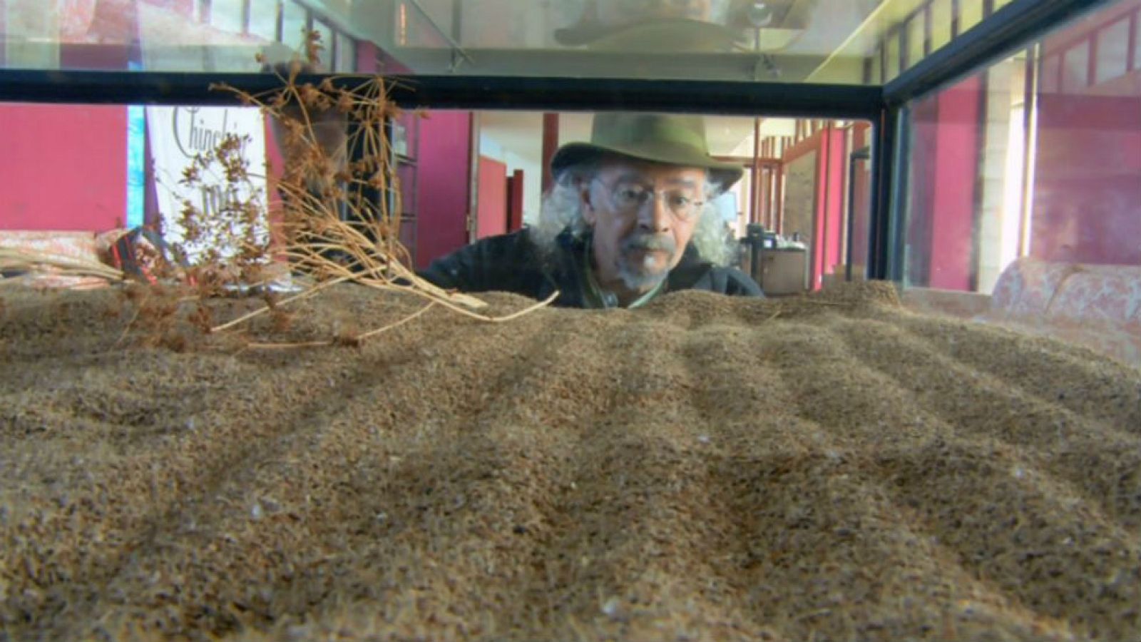 Juan Plantas y el anís