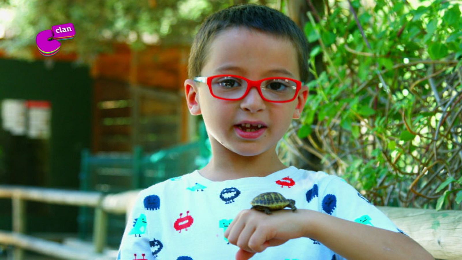 Martí en el Centro de Recuperación de Anfibios y Reptiles - Club Clan | Ver