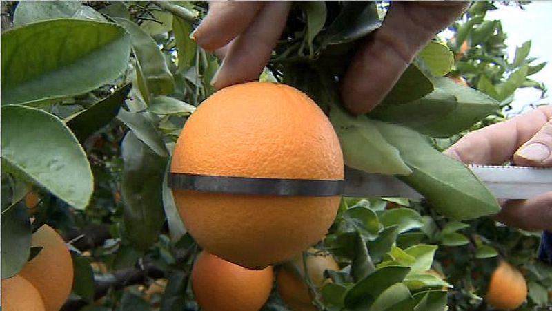 La Comunidad Valenciana en 2' - 06/11/18 - ver ahora