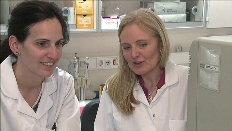 L'Informatiu - Comunitat Valenciana - 06/11/18 - ver ahora