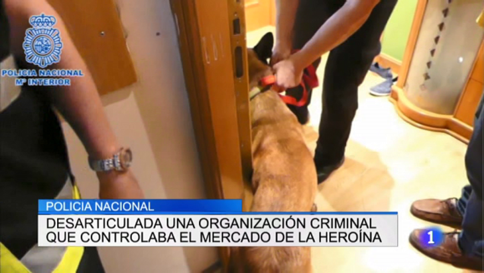 Telerioja en 2' - 06/11/18