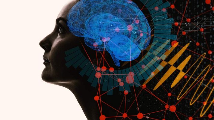 Documenta2 - El cerebro con David Eagleman: ¿Qué hace de mí quien soy?